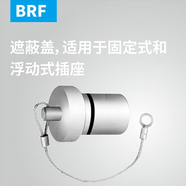 BRF-遮蔽盖，适用(yòng)于固定式和浮动式插座-bigY