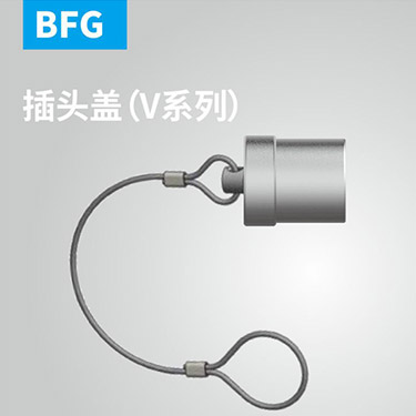 BFG-插头盖（V系列）